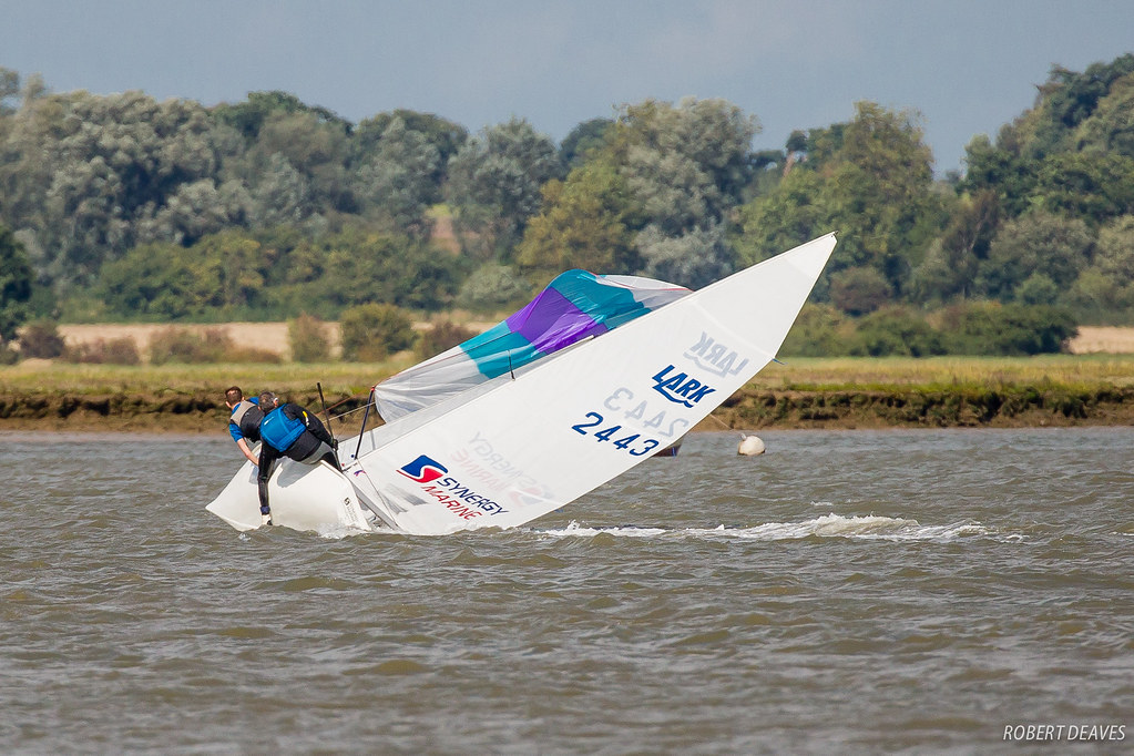 Lark-Sailing-11