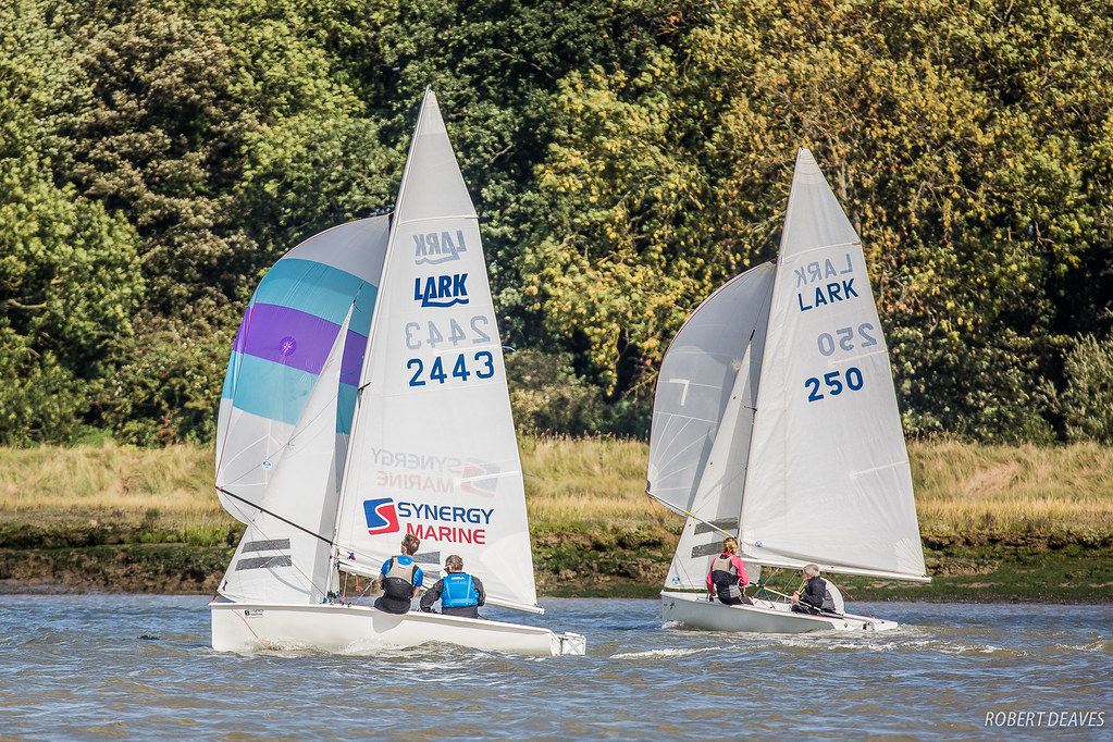 Lark-Sailing-7