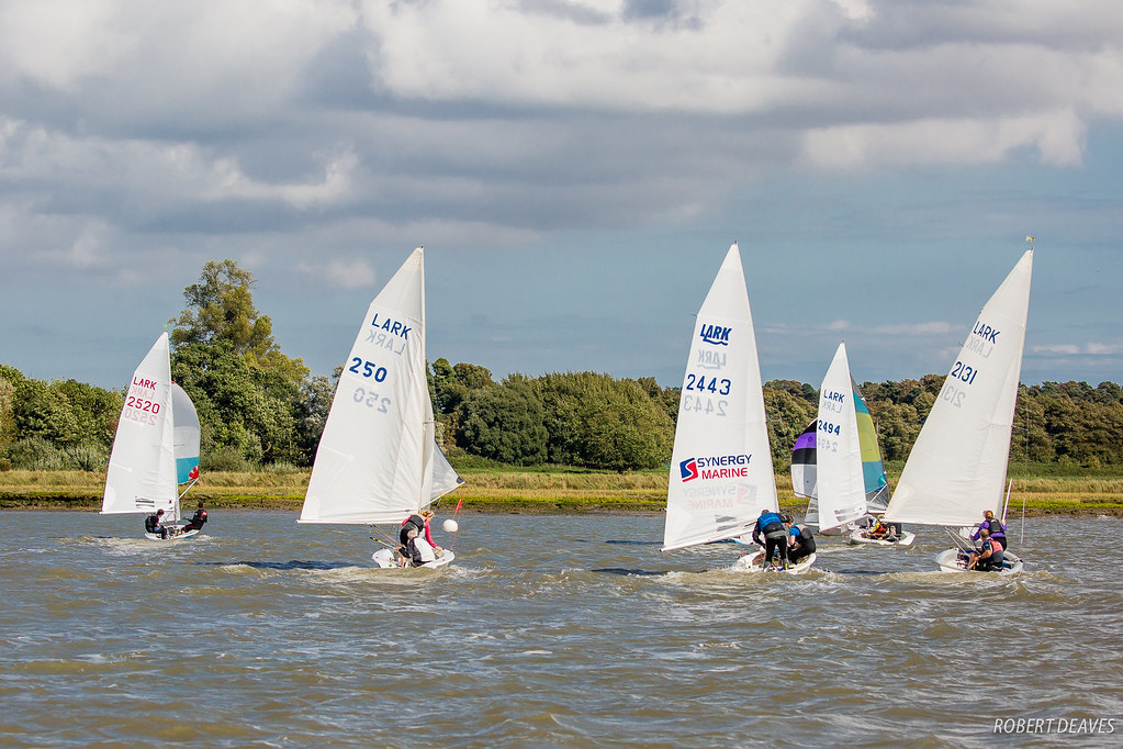 Lark-Sailing-8