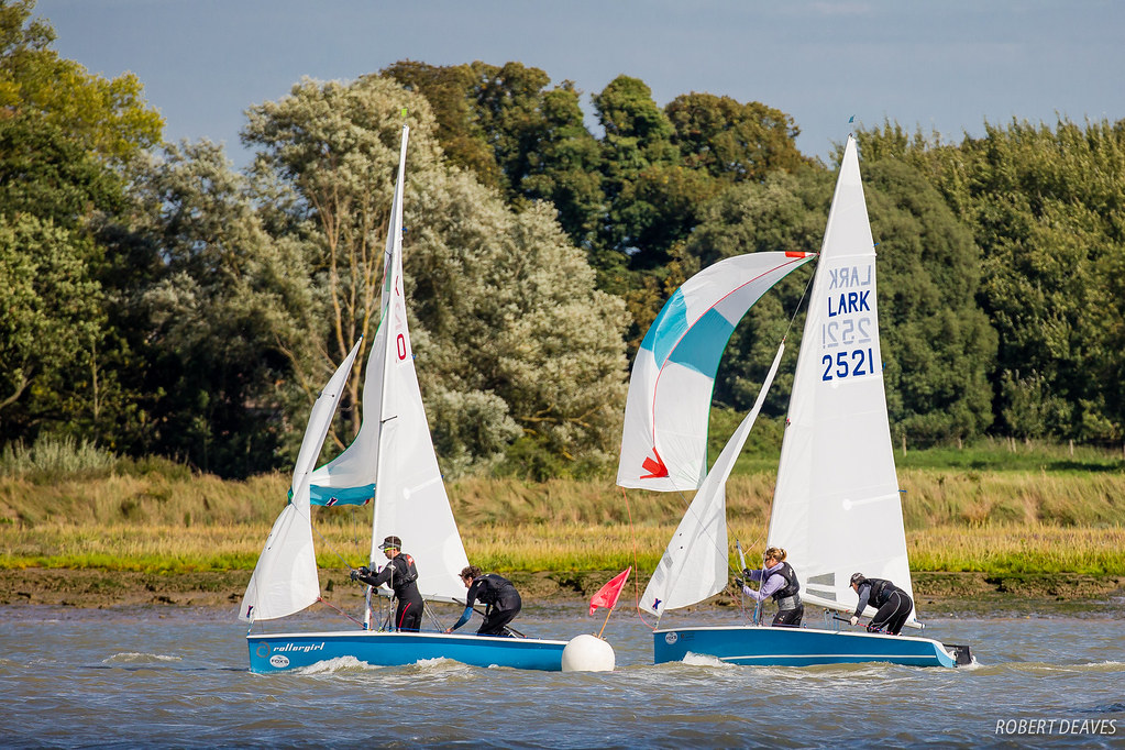 Lark-Sailing-9